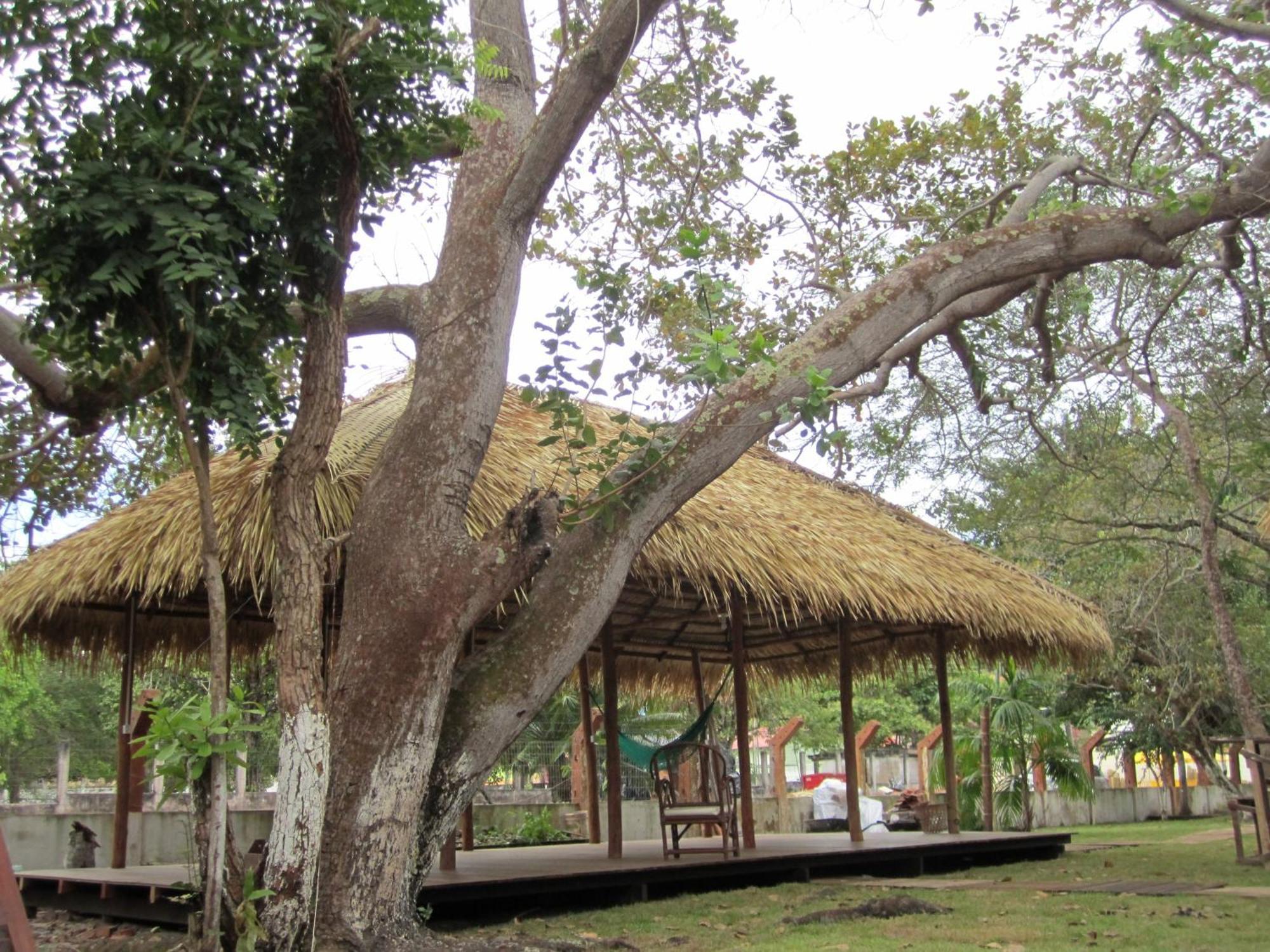 Hostel Pousada Do Tapajos Alter do Chão Eksteriør bilde